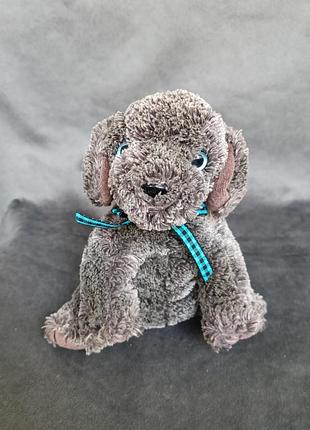 Мягкая иигрушка - коллекционный щенок ty beanie baby «frisbee»