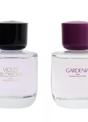 Zara gardenia, violet blossom духи парфюм zara