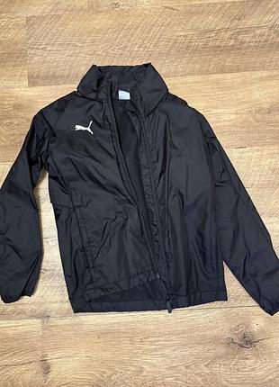 Вітровка puma