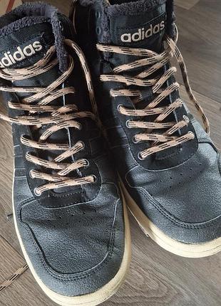 Кросівки хайтопи  adidas 3