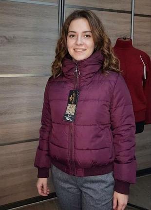Куртка весна осень бомбер женский демисезонный 44-46 р вишневый бордовый