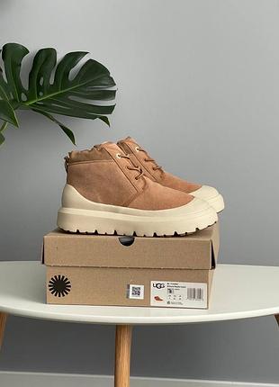 Угги чоловічі ugg neumel hybrid chestnut beige