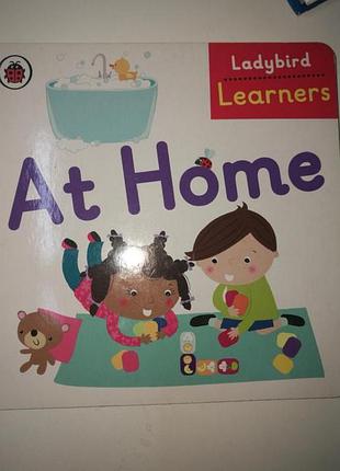 Ladybird "at home"