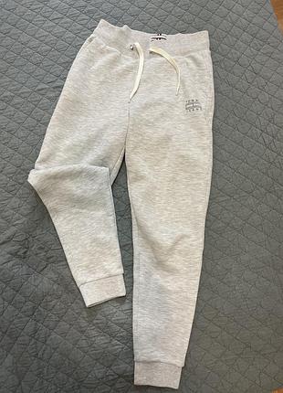 Спортивні штани чоловічі tommy jeans сірі