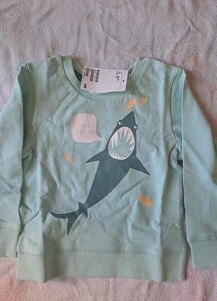 Світшот для хлопчика h&m м'ятний з акулою