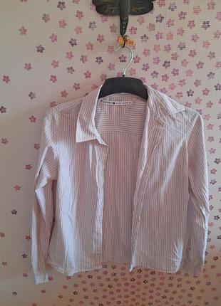 Сорочка жіноча tommy hikfiger 
px.s /s 
котон