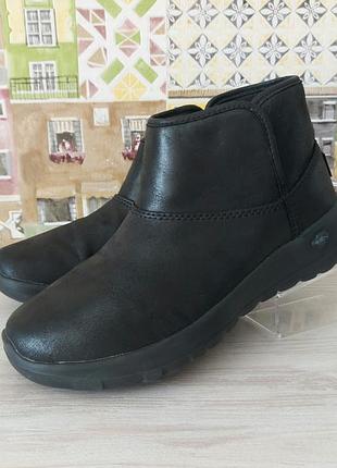 Чобітки черевики skechers