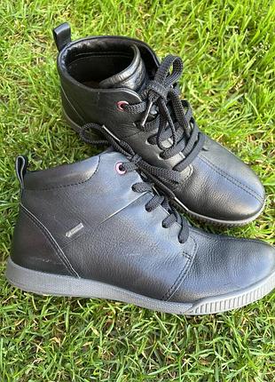 Черевики 36-37 ecco