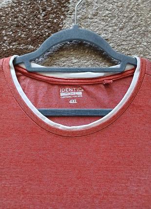 Мужская футболка identic 4xl 4