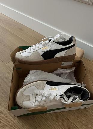 Puma palermo