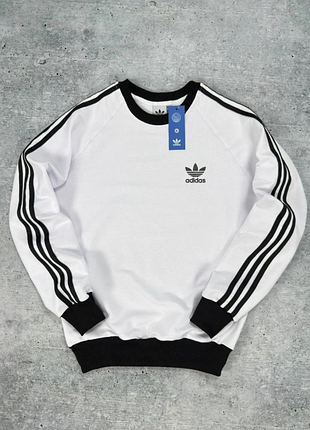 Белый мужской свитшот adidas