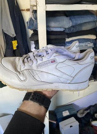 Жіночі кроссівки reebok classic білі
