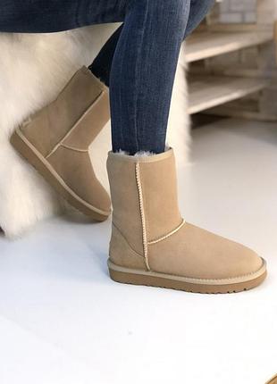 Женские угги средние замша бежевые песок ugg classic ii short sand