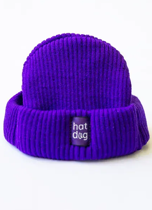 Шапка для собак hat-dog xl