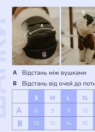 Шапка для собак hat-dog xl 4