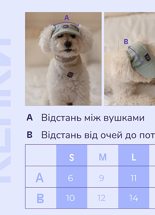 Кепка для собак hat-dog блакитна 3