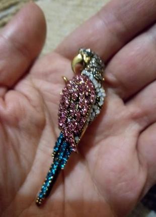 Брошь "попугай" 5