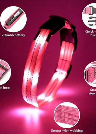 Світлодіодний led нашийник для собак із usb-зарядкою (рожевий, розмір m)