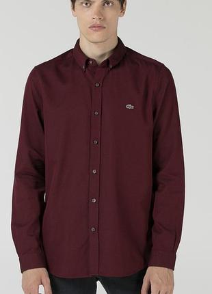 Lacoste чоловіча сорочка, рубашка, брендова сорочка