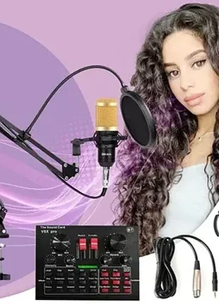 Многофункциональная аудиокарта с микрофоном в комплекте el-vx8pro