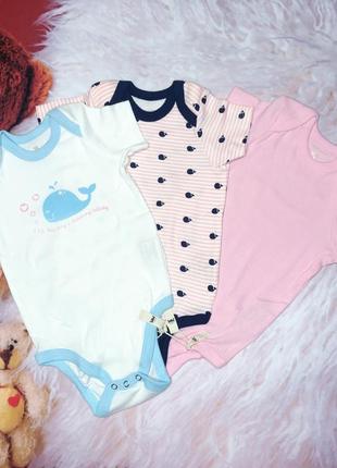 Набор боди короткий рукав бодики розовый боди на девочку девочка боді kuniboo кит