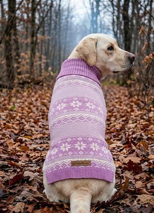 Фірмовий светр для великої собаки eddie bauer (xl) спина - 50см.
