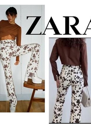 Стильні джинси кльош в коровʼячий принт zara cow print