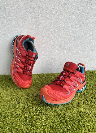 Кросівки salomon xa pro gtx