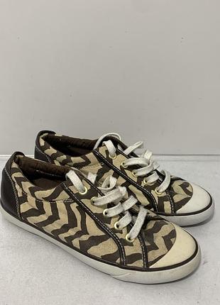 Кеди coach оригінал