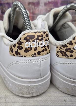 Кеды adidas 6