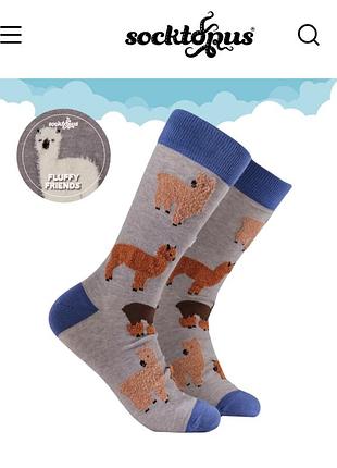 Носки socktopus р. 37-42 2