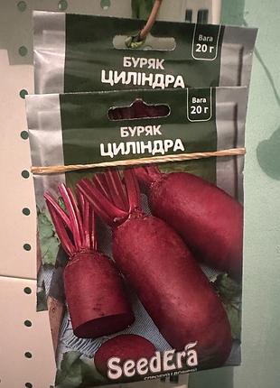 Насіння овочів seedera буряк циліндра