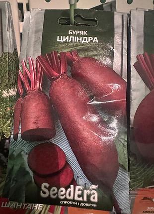 Насіння овочів seedera буряк циліндра
