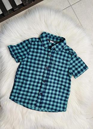 Сорочка для хлопчика tu kids в клітинку, 1-1,5 роки, 80-86 см, 100% бавовна