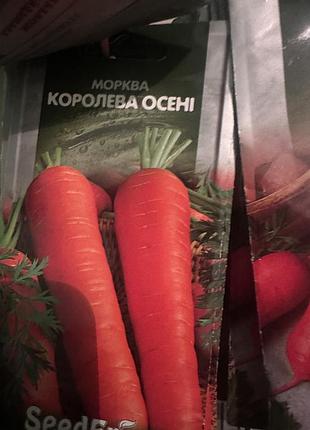Насіння моркви королева осені