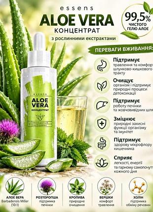 🌿 aloe vera concentrate
