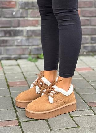Жіночі зимові кеди ugg на платформі з хутром
