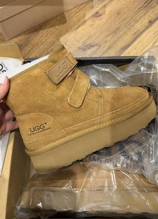 Черевики жіночі ugg dylan на липучках, коричневі