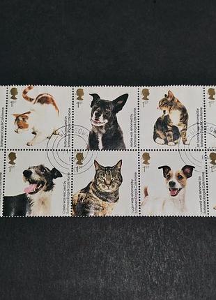 150-річчя притулку для тварин battersea dogs & cats home, поштові марки