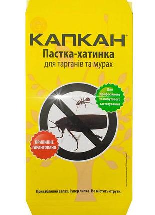 Клеевая ловушка – домик «капкан» для тараканов и муравьи