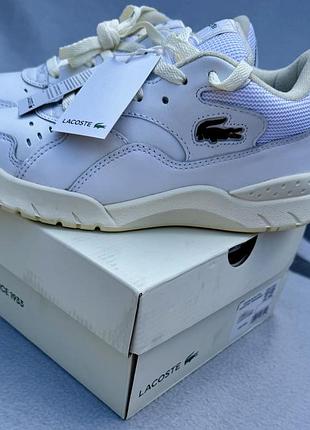 Кроссівки lacoste 3