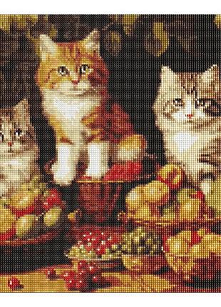 Набор с алмазной мозаикой amo7940 "котики и фрукты" 40х50см ideyka