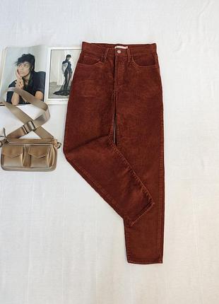 Вельвети levis 2