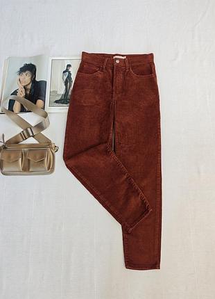 Вельвети levis 3