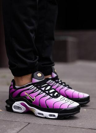 Nike air max plus tn bold berry
