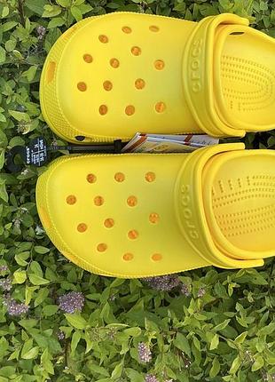 Crocs w8/m6 2