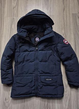 Canada goose