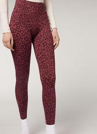 Спортивні лосини тайси леопардовий принт спортивні лосіни жіночі calzedonia