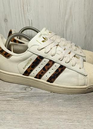 Adidas superstar ii