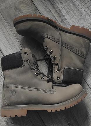 Черевики timberland сірі